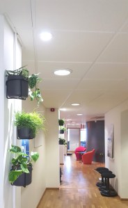 20160728_161115 - Kopia